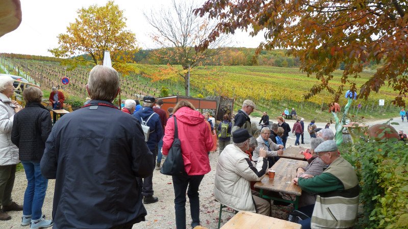 Rotweinwanderung 24.10.2015